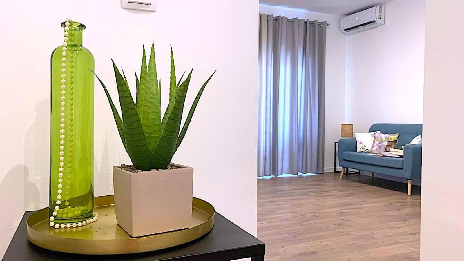 Apartments Leut Драшнице Экстерьер фото